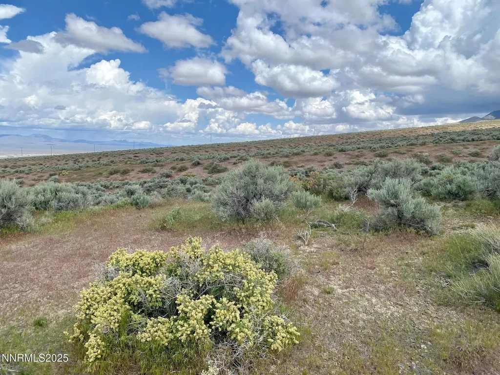 25055 Ramsey Lovelock NV 89419