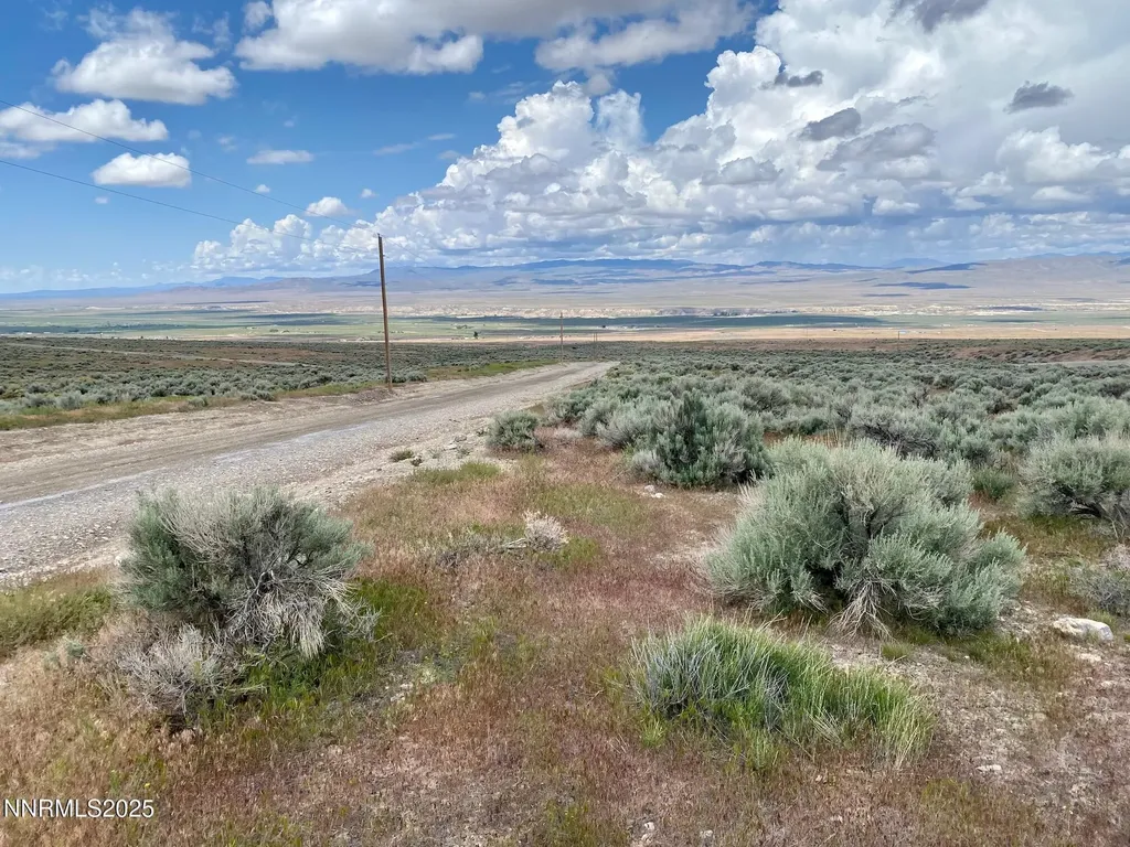 25055 Ramsey Lovelock NV 89419