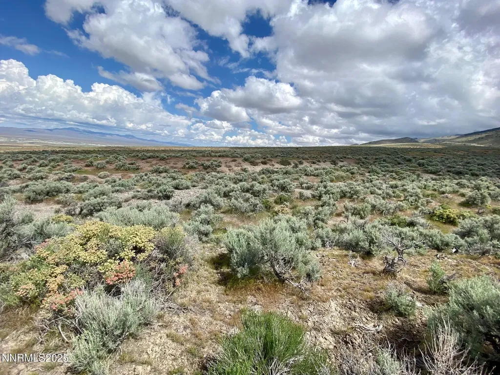 25055 Ramsey Lovelock NV 89419
