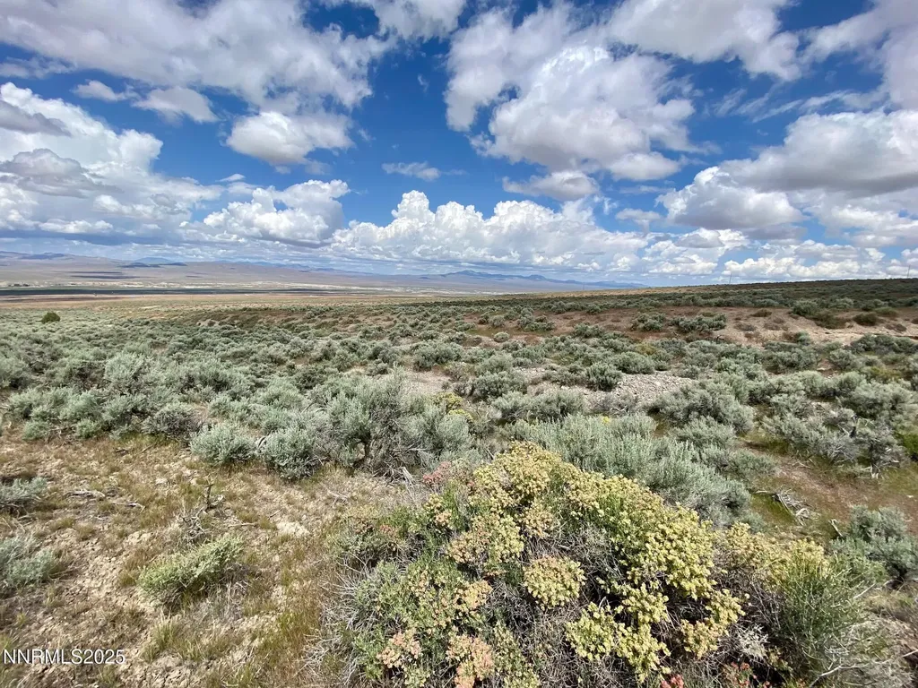 25055 Ramsey Lovelock NV 89419