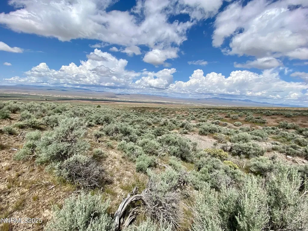 25055 Ramsey Lovelock NV 89419