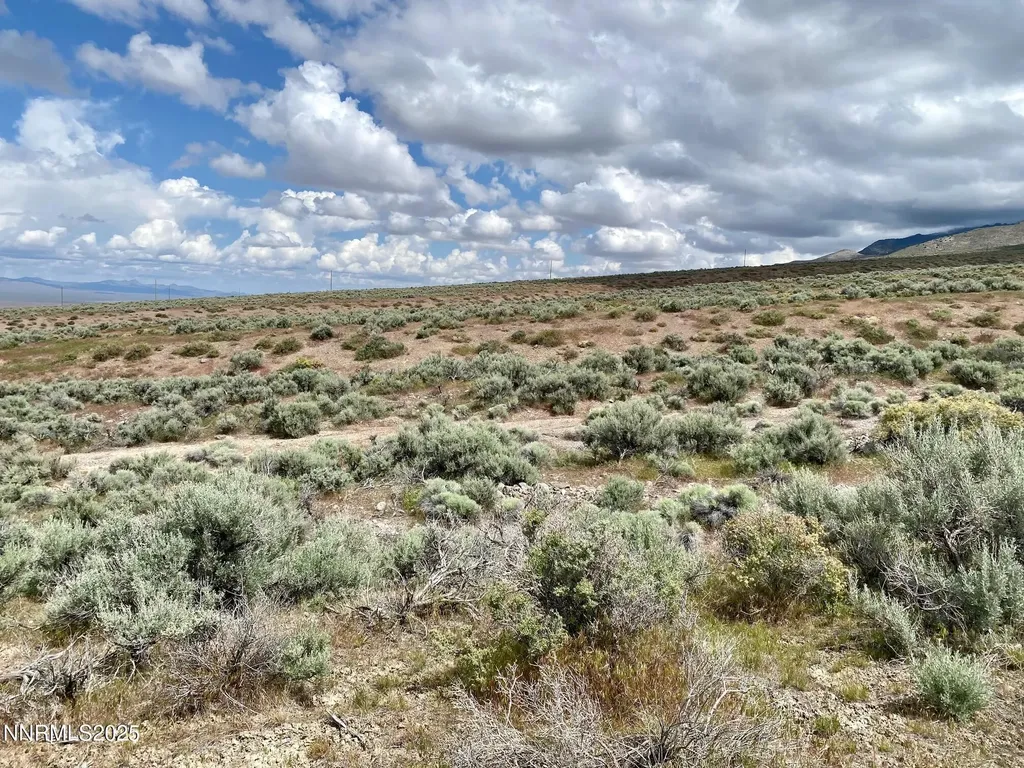 25055 Ramsey Lovelock NV 89419