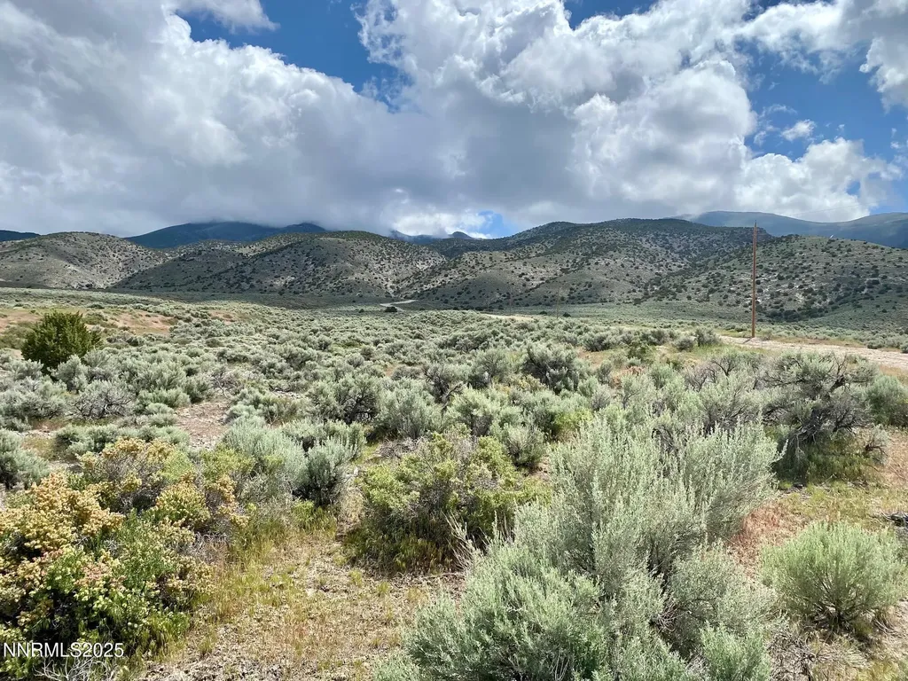 25055 Ramsey Lovelock NV 89419
