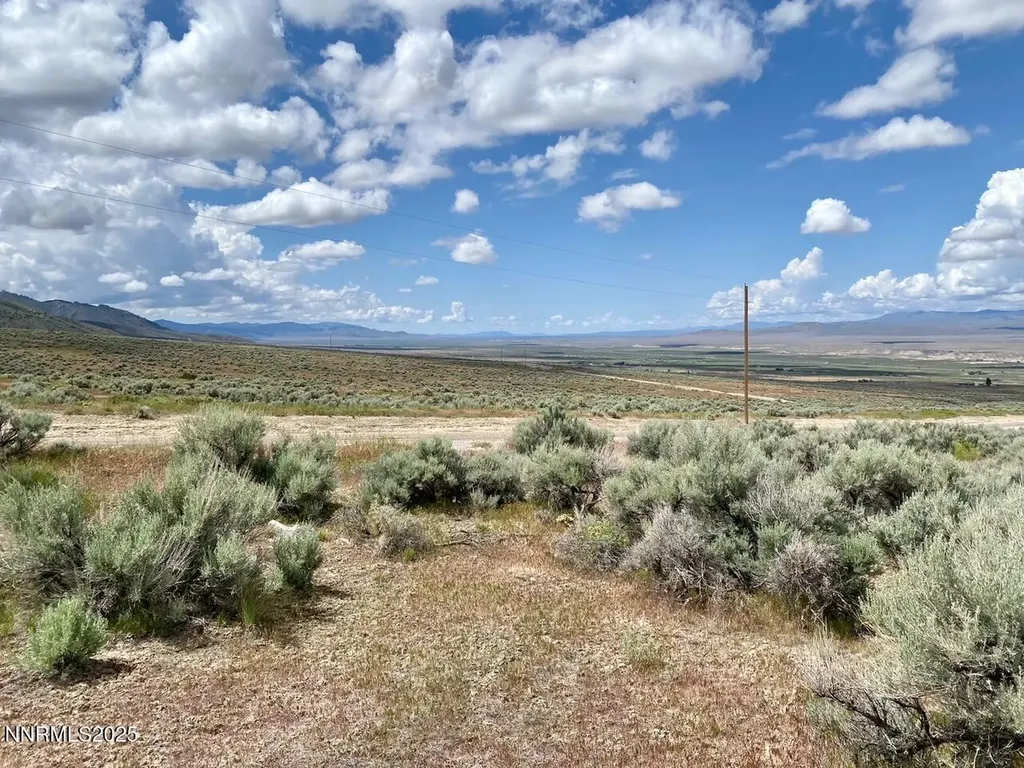 25055 Ramsey Lovelock NV 89419