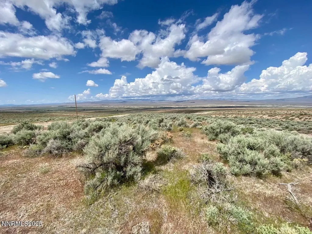 25055 Ramsey Lovelock NV 89419