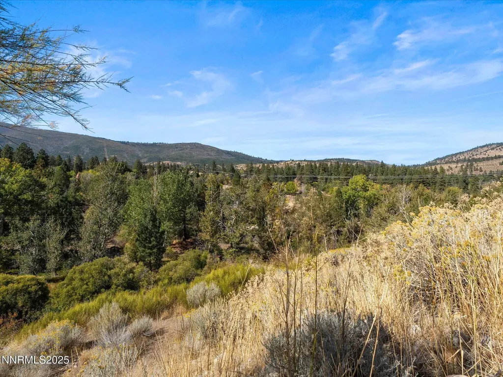 185 Lakeview Verdi NV 89439