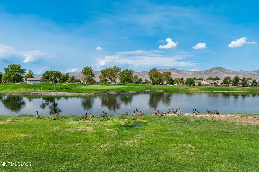 236 La Costa Dayton NV 89403