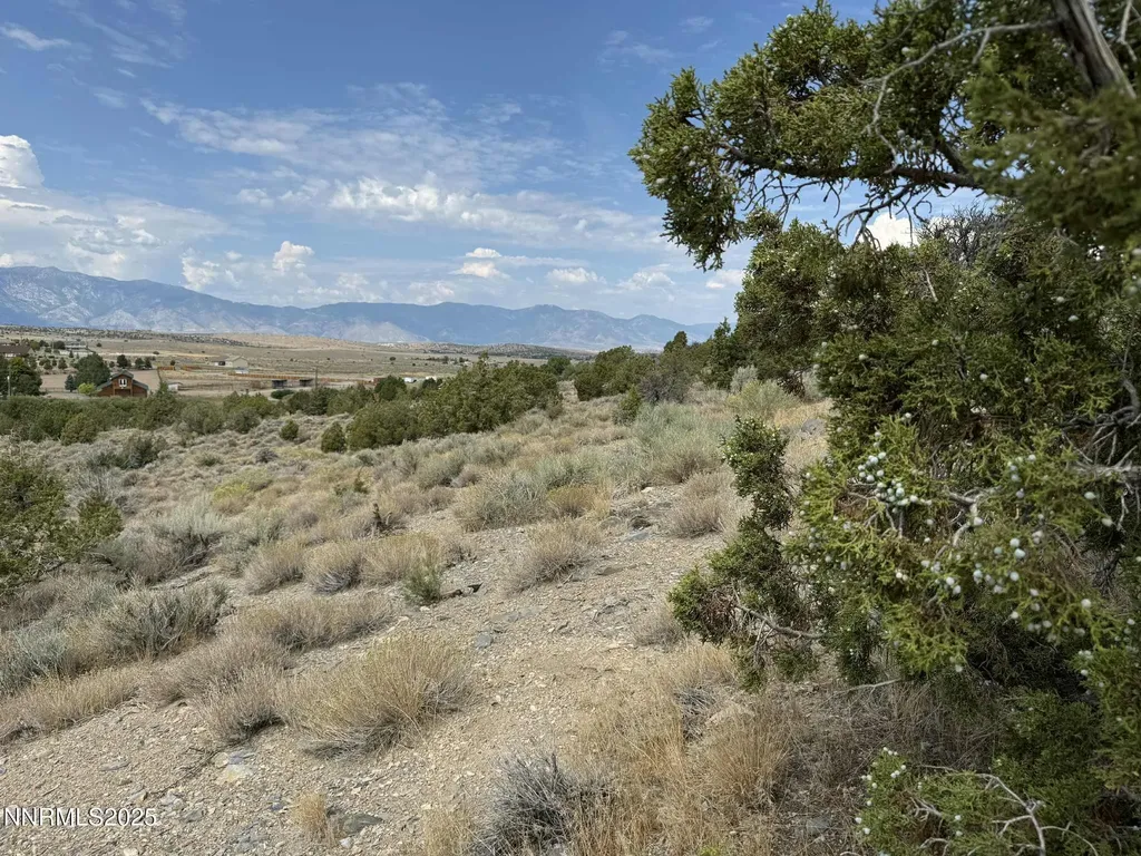 Tbd Old Ranch Gardnerville NV 89410