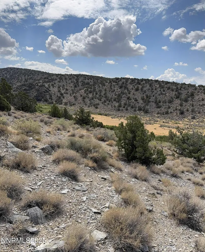Tbd Old Ranch Gardnerville NV 89410