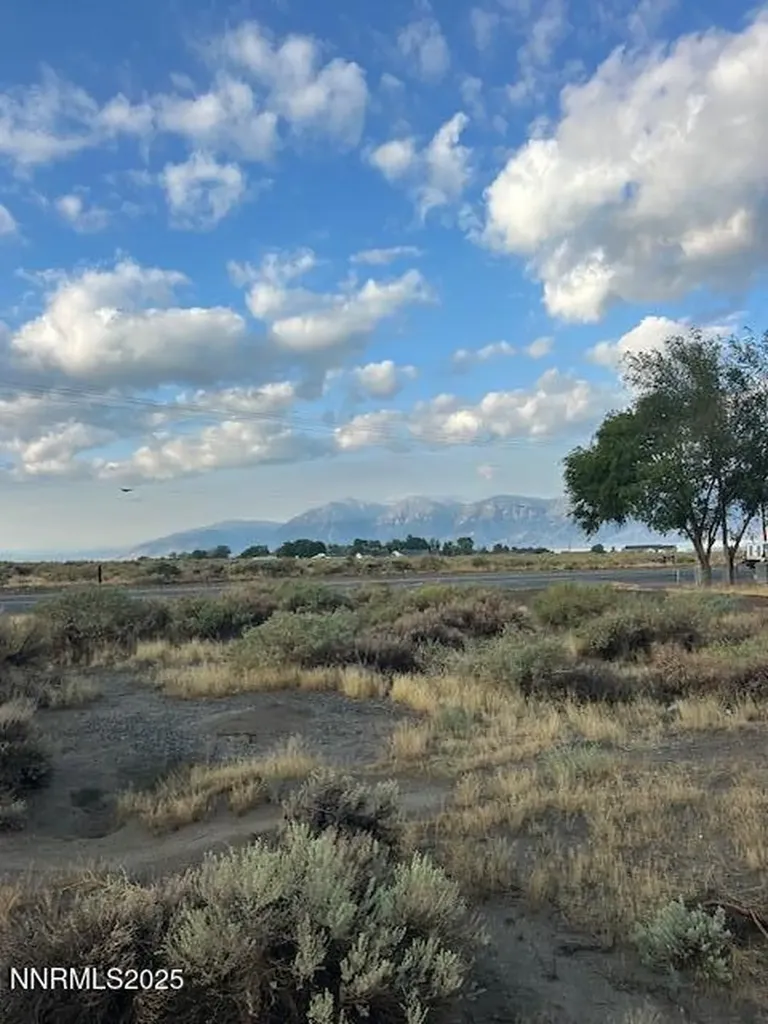 2608 Gordon Minden NV 89423