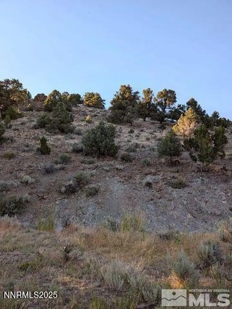 2530 Cartwright Reno NV 89521