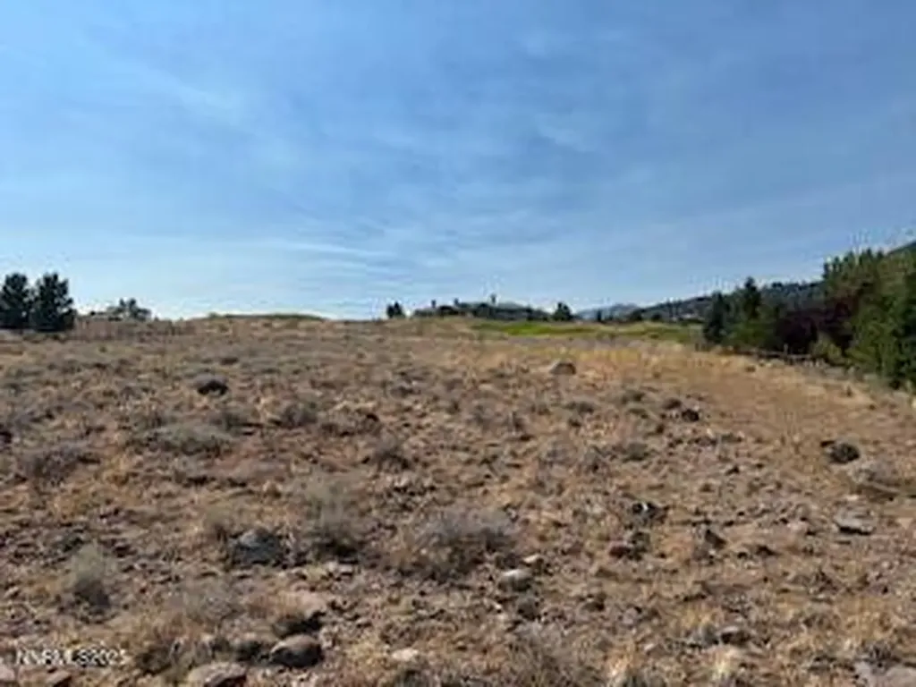 5734 River Birch Reno NV 89511