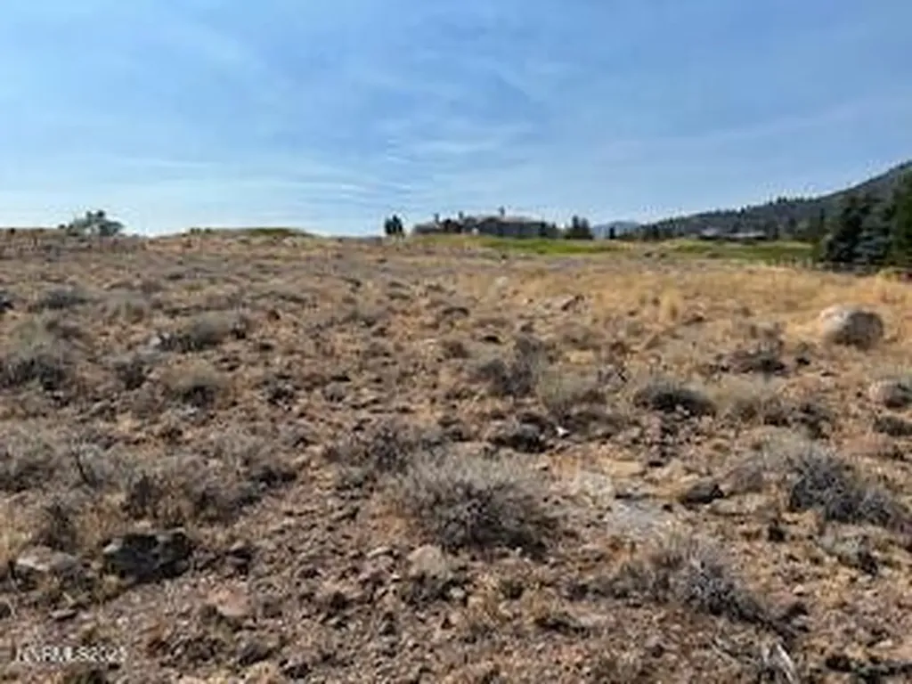5734 River Birch Reno NV 89511
