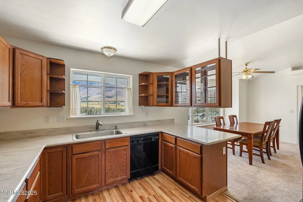 110 Arabian Reno NV 89508
