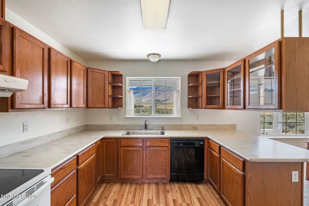 110 Arabian Reno NV 89508