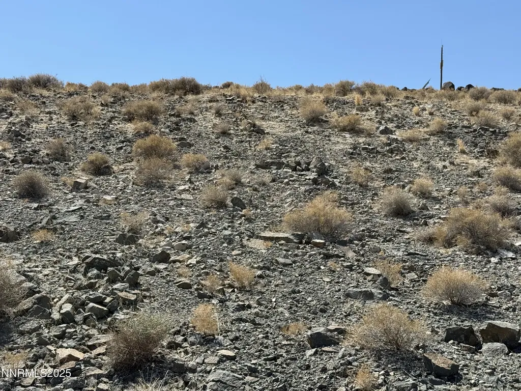 2595 Revere Silver Springs NV 89429