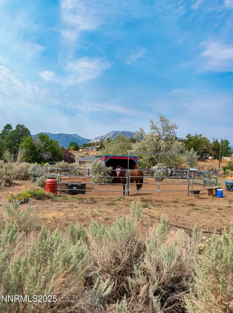 390 Flicker Washoe Valley NV 89704