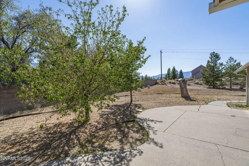 270 Mogul Mountain Reno NV 89523