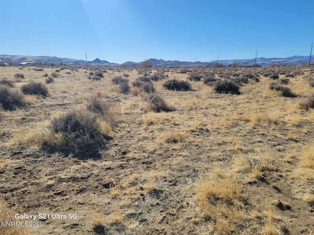 1100 Antelope Silver Springs NV 89429