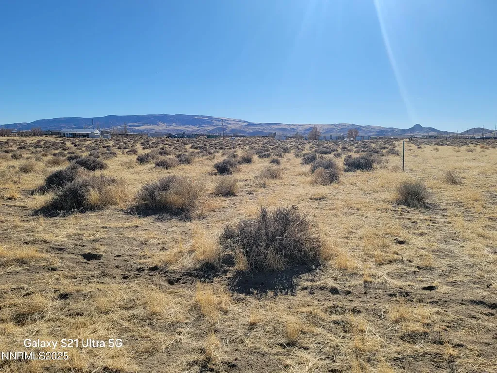1100 Antelope Silver Springs NV 89429