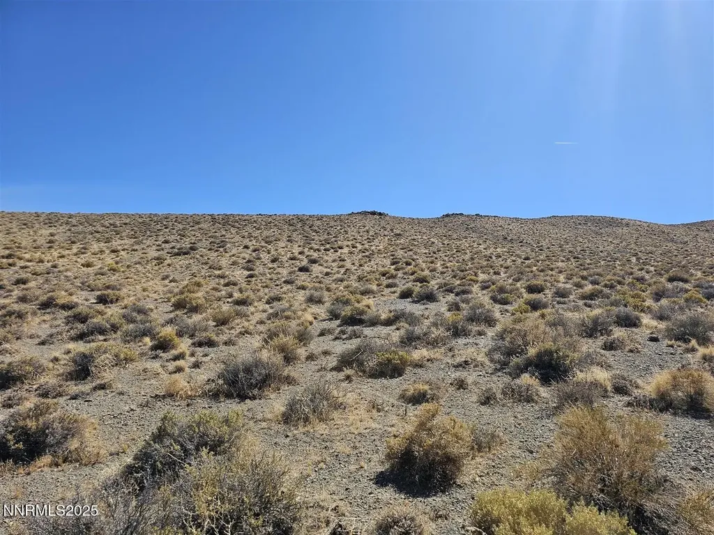 12.92AC Patented Mining Claim Yerington NV 89447