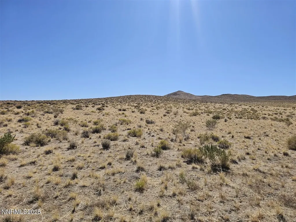 19.79AC Patented Mining Claim Yerington NV 89447