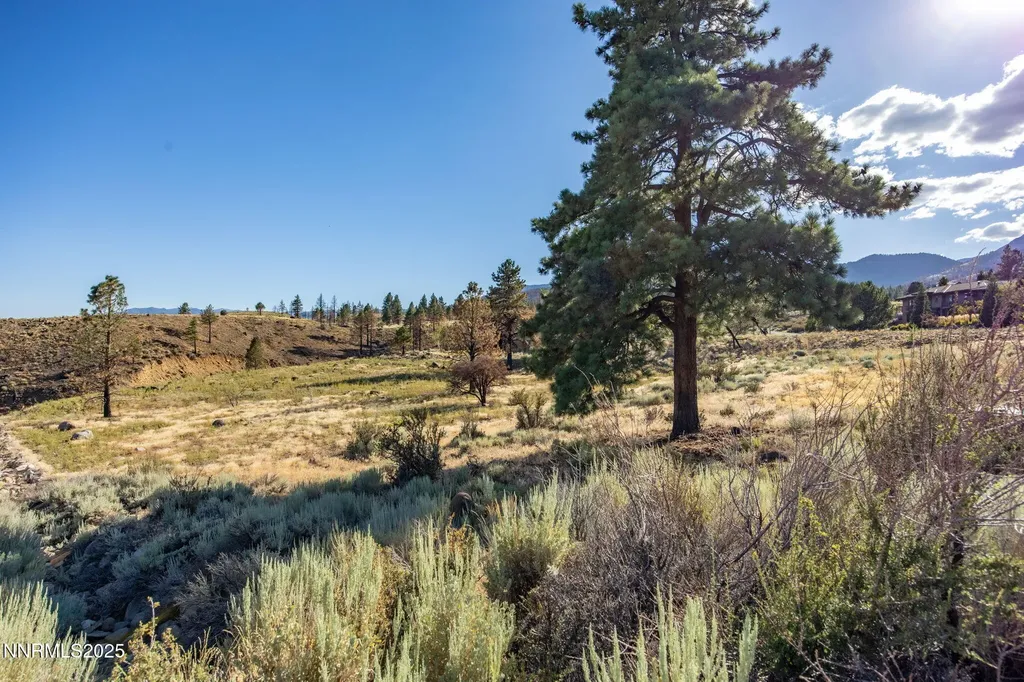 203 Argyle Reno NV 89511