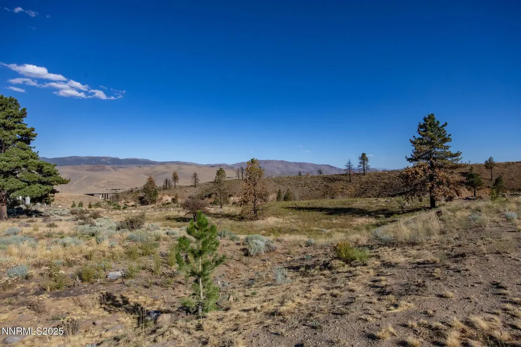 203 Argyle Reno NV 89511