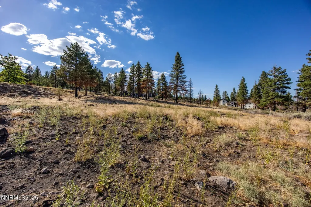 485 Mt Mahogany Reno NV 89511