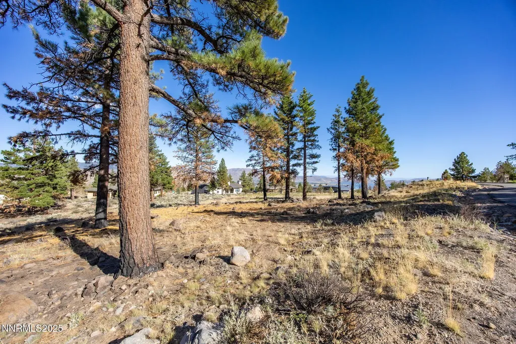 485 Mt Mahogany Reno NV 89511