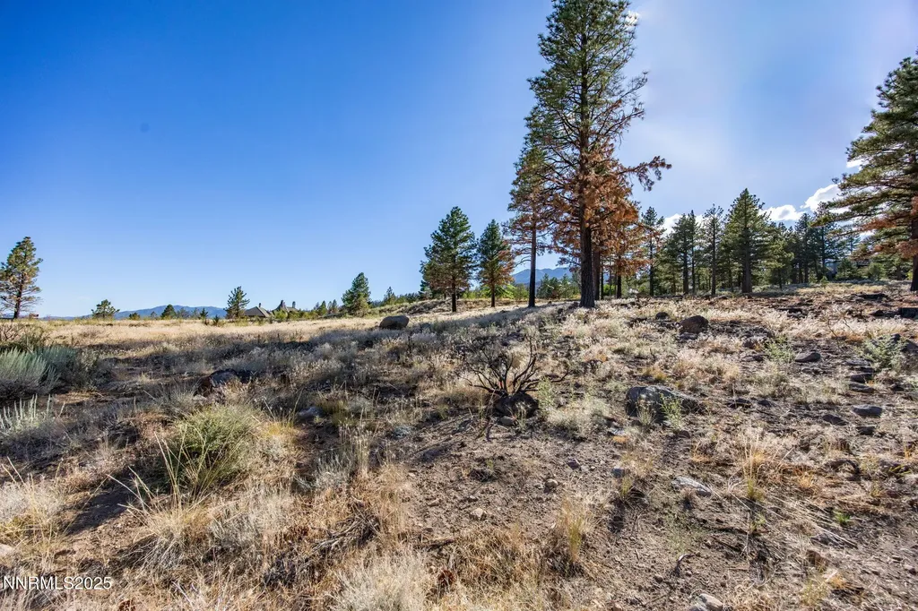 485 Mt Mahogany Reno NV 89511