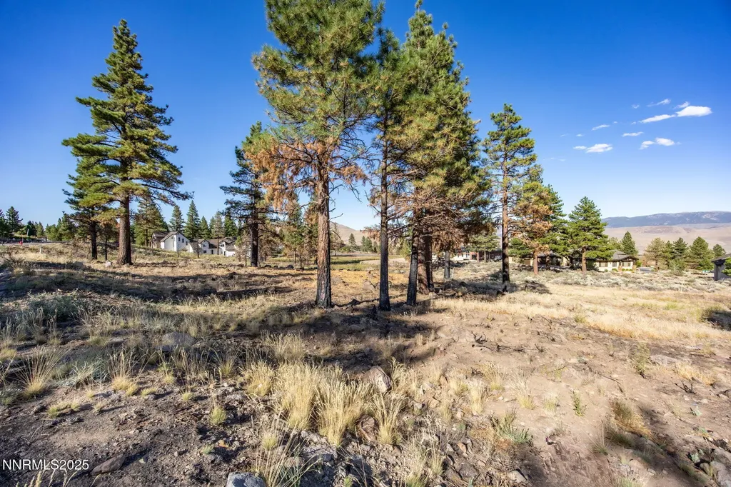 485 Mt Mahogany Reno NV 89511
