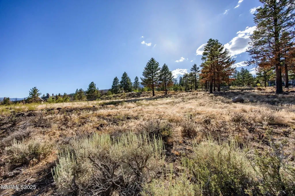 485 Mt Mahogany Reno NV 89511
