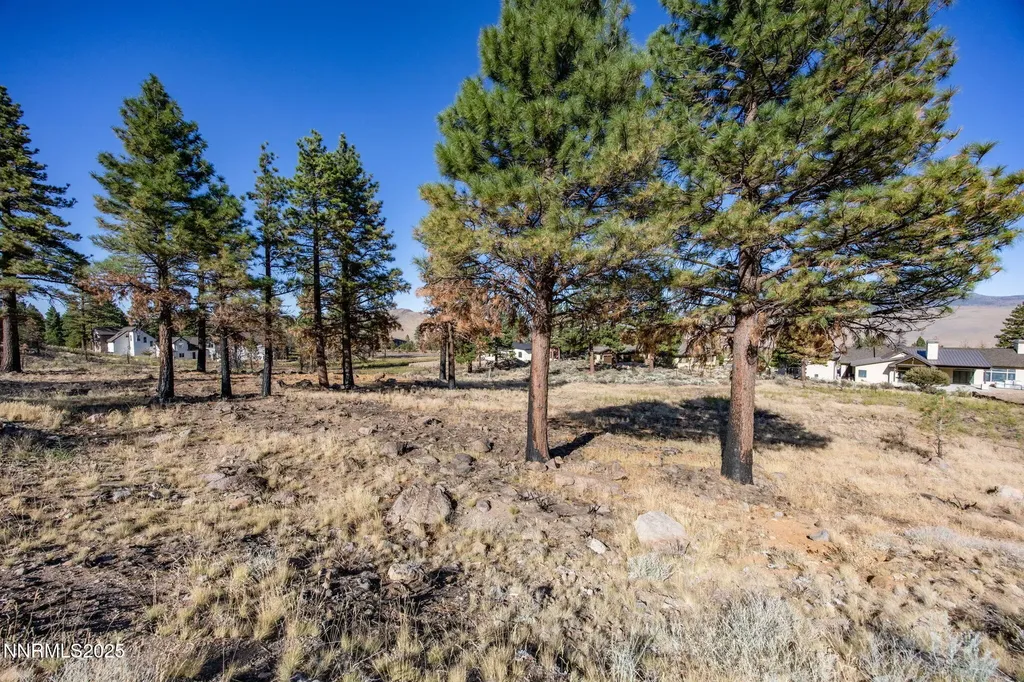 485 Mt Mahogany Reno NV 89511