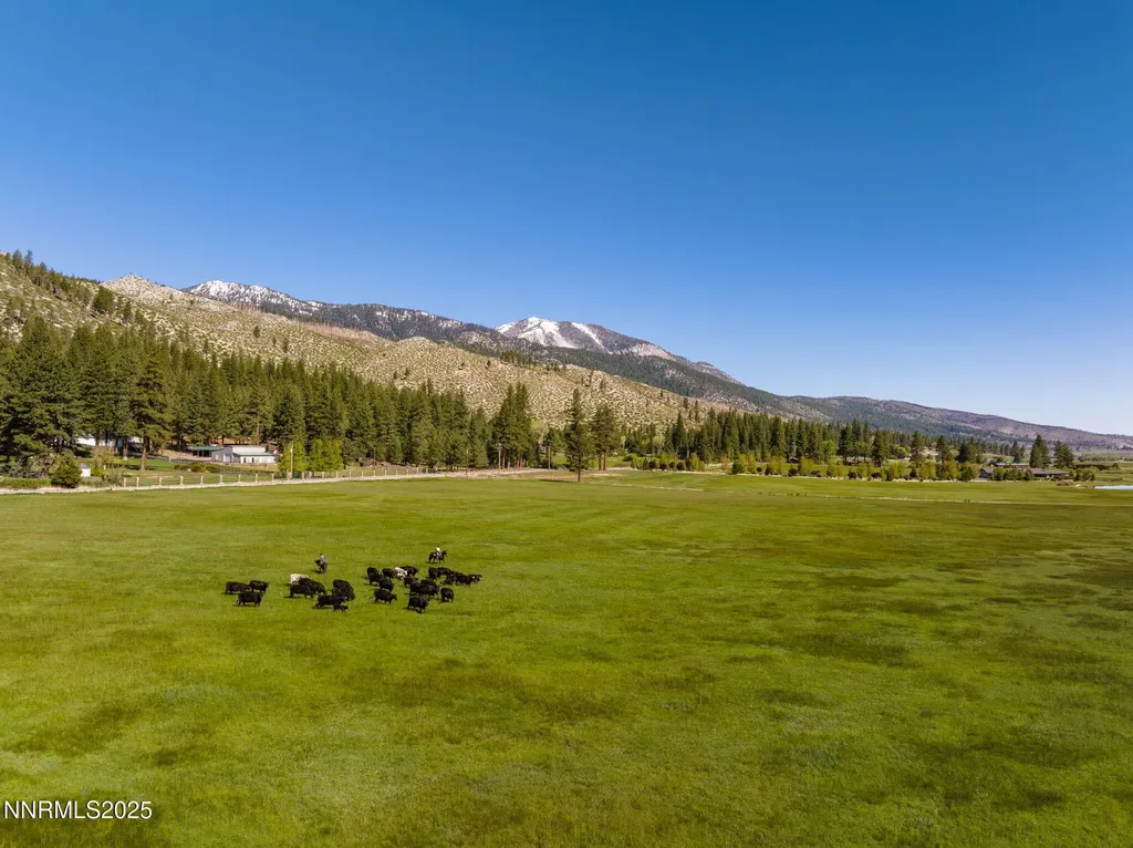 05 Franktown Road Washoe Valley NV 89704