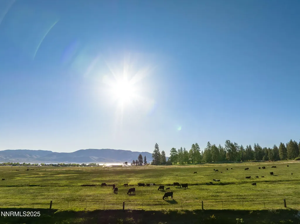 05 Franktown Road Washoe Valley NV 89704