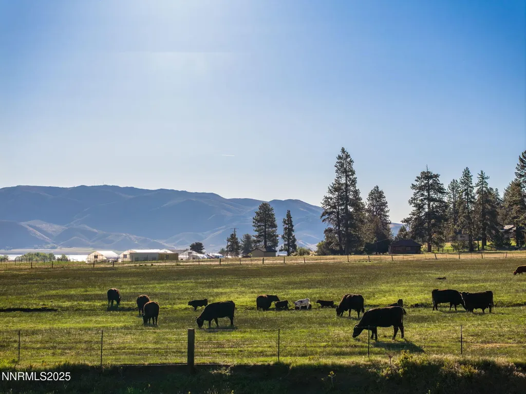 05 Franktown Road Washoe Valley NV 89704