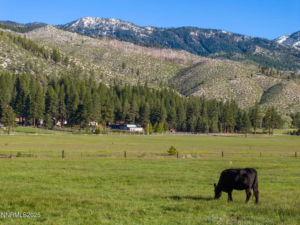 05 Franktown Road Washoe Valley NV 89704