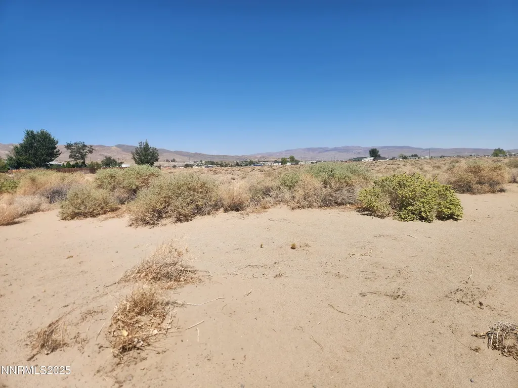 1420 Antelope Silver Springs NV 89429