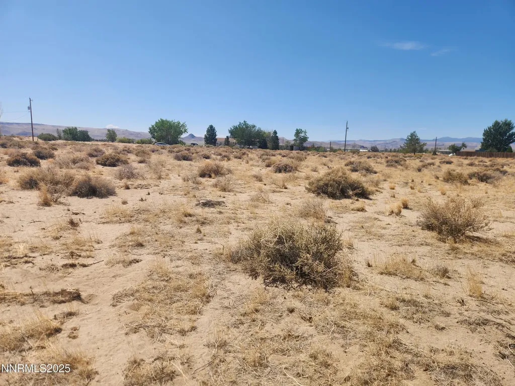 1420 Antelope Silver Springs NV 89429