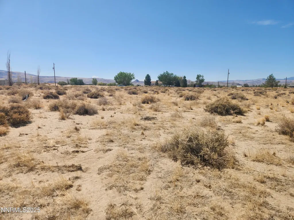 1420 Antelope Silver Springs NV 89429