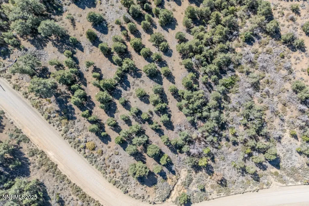 1450 Bonanza Reno NV 89521