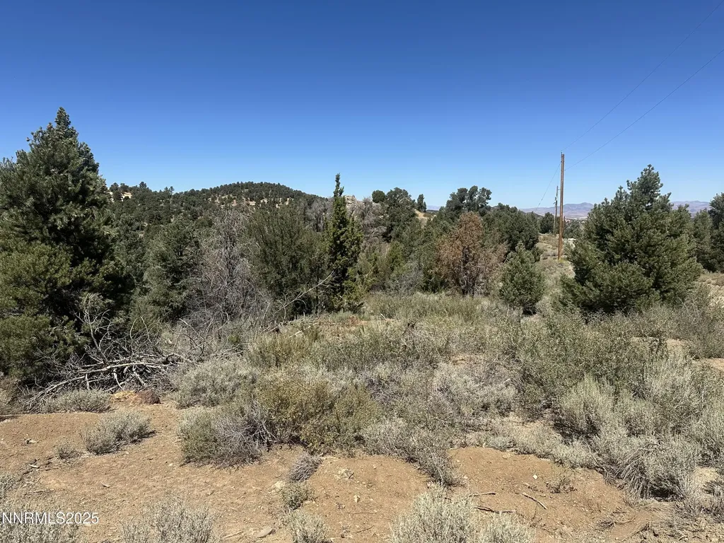 1450 Bonanza Reno NV 89521
