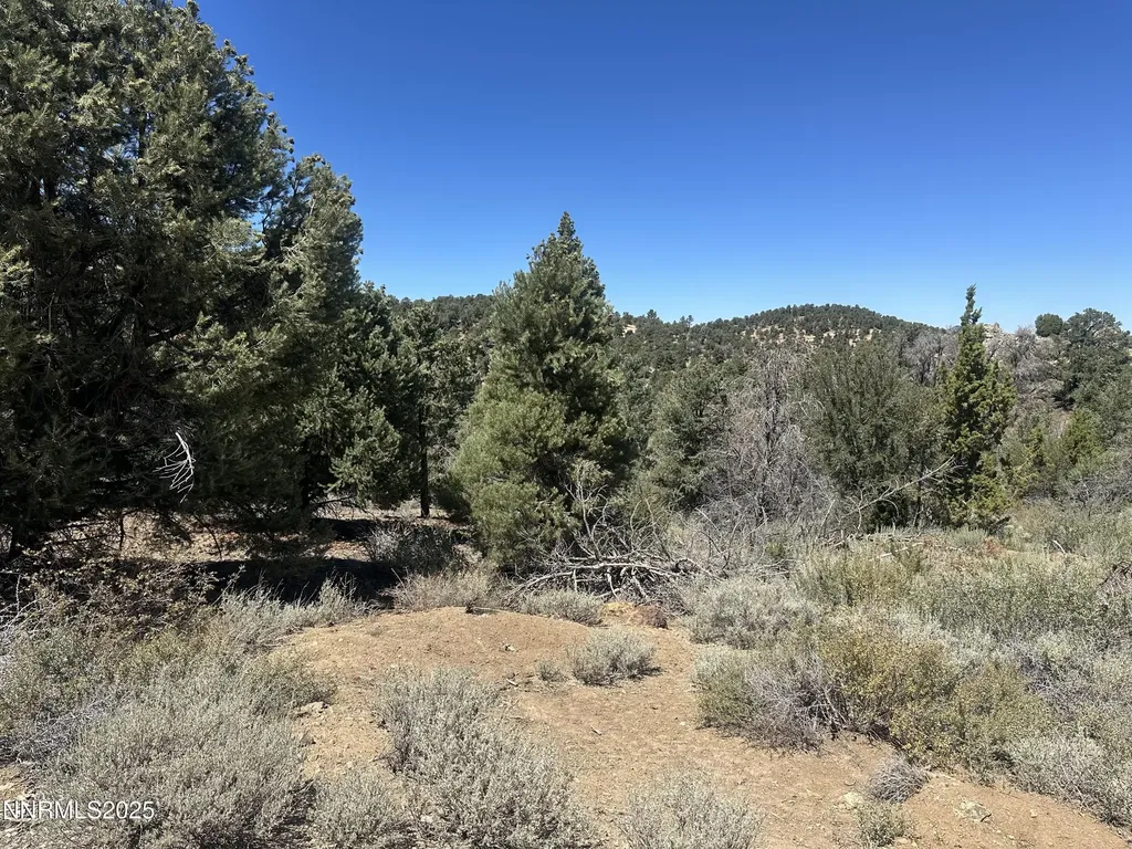 1450 Bonanza Reno NV 89521