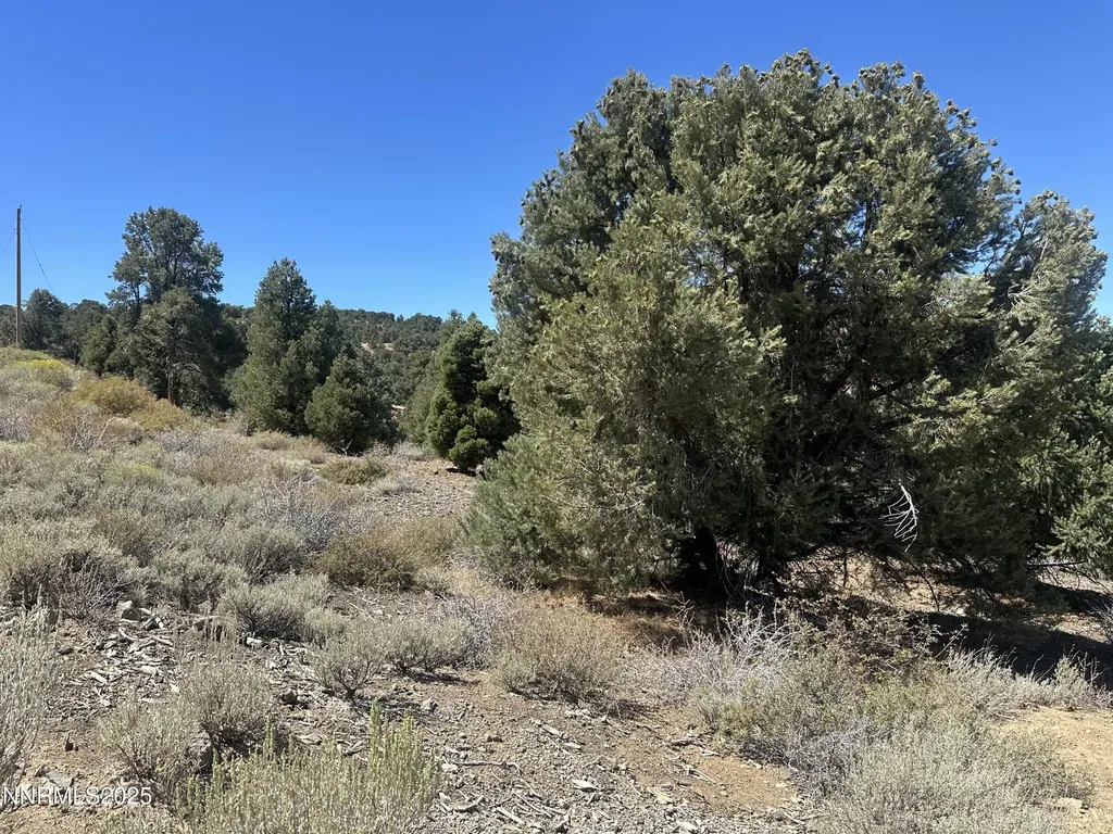 1450 Bonanza Reno NV 89521