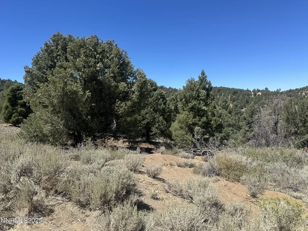 1450 Bonanza Reno NV 89521