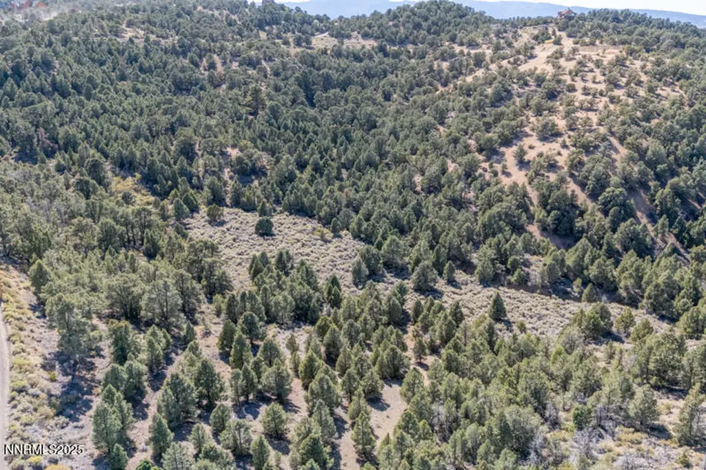 1450 Bonanza Reno NV 89521