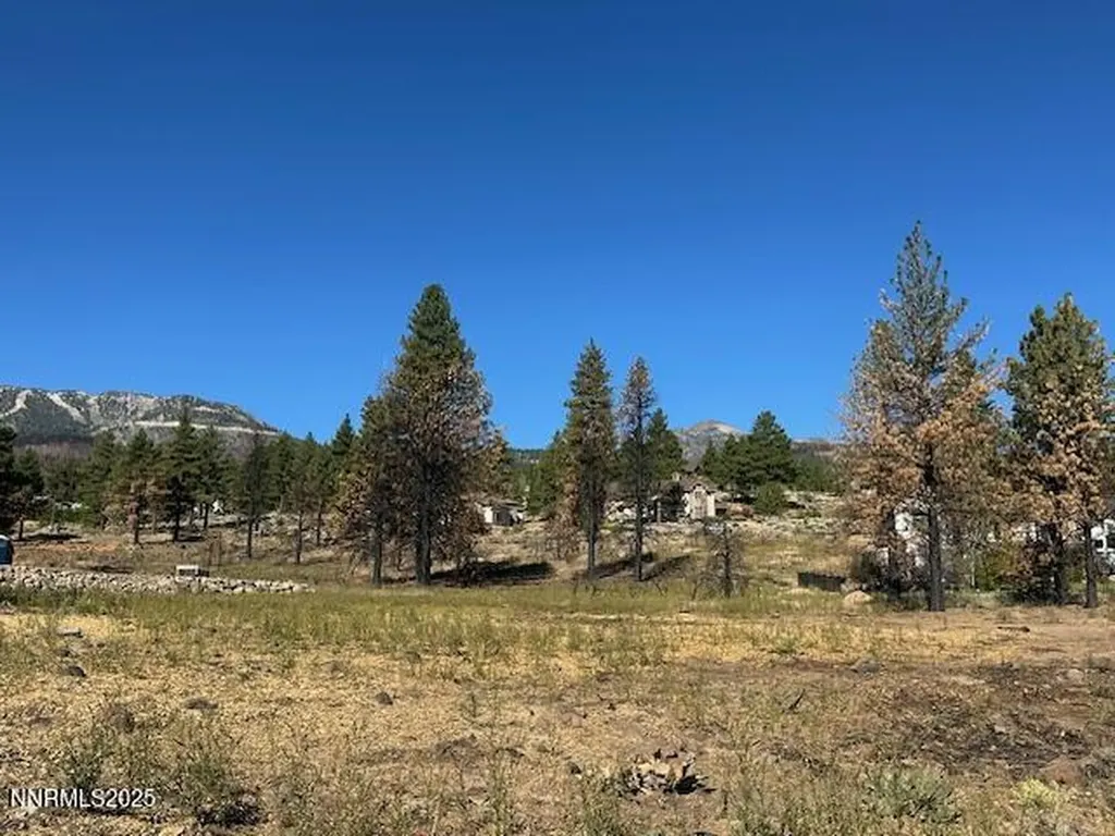 605 Sand Cherry Reno NV 89511