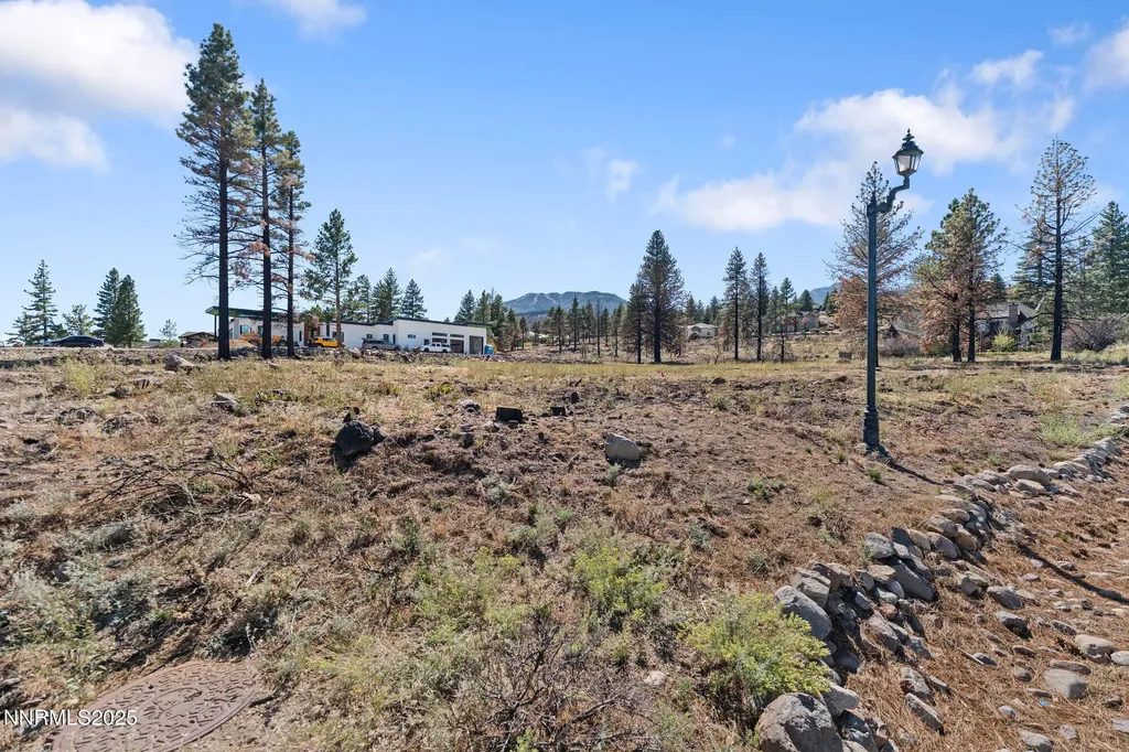 605 Sand Cherry Reno NV 89511