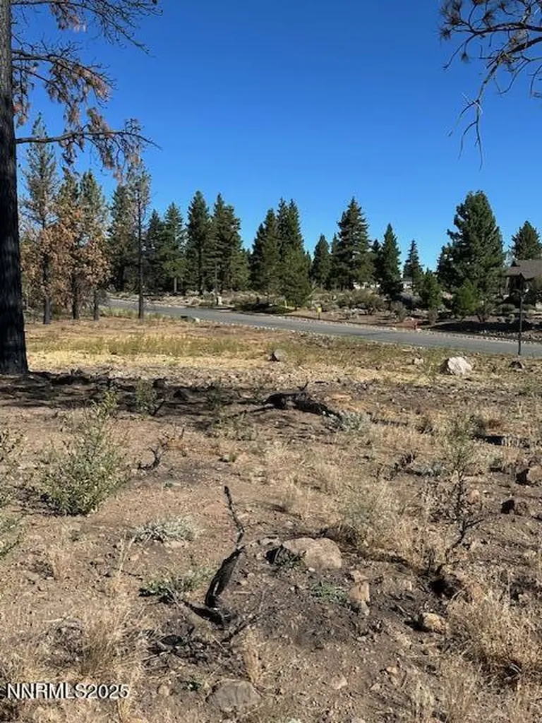 605 Sand Cherry Reno NV 89511